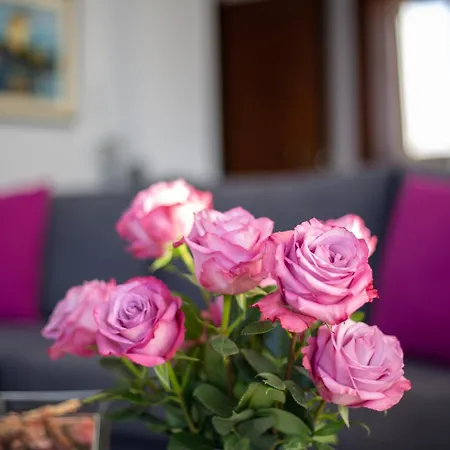 Salty Breeze Beachfront Apartment-premium